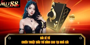 Bài Xì Tố - Chiến Thuật Đấu Trí Đỉnh Cao Tại Nhà Cái