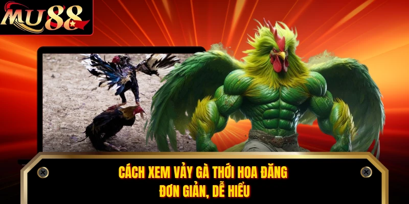 Cách xem vảy gà thới hoa đăng đơn giản, dễ hiểu 